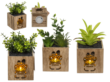 Deco Succulent