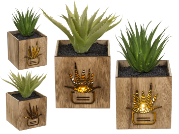 Deco Succulent