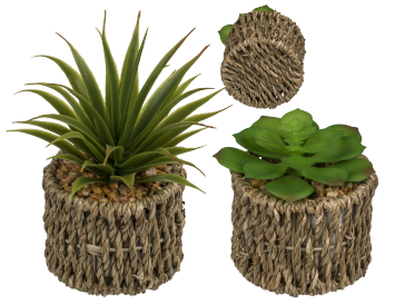 Decoration Succulents in sea-grass pot