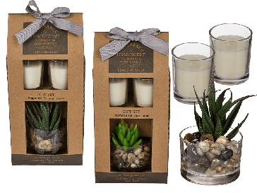 Set vonných sviečok s kaktusom
