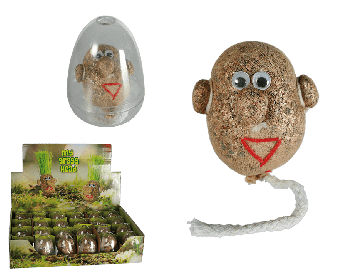 Grass head in PVC egg