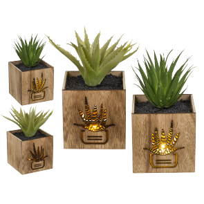 Deco Succulent