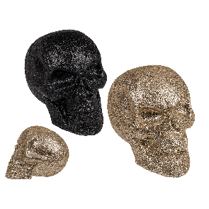 Skull with Glitter