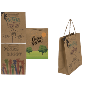 Kraft paper bag